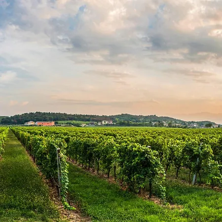 Tenuta La Presa Feriegård Caprino Veronese