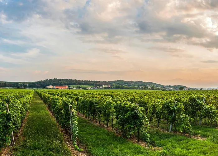 Tenuta La Presa Feriegård Caprino Veronese