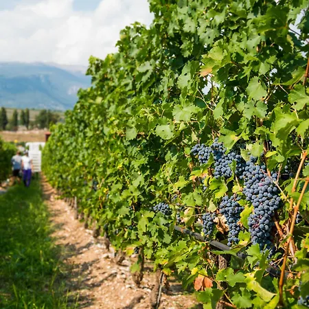 Tenuta La Presa Vakantieboerderij *