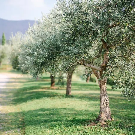 Vakantieboerderij Tenuta La Presa *