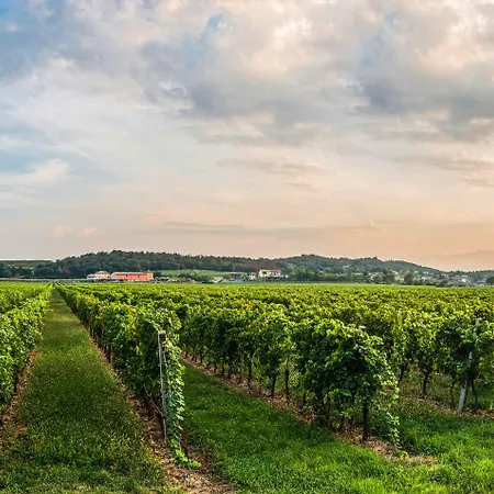 Tenuta La Presa Vakantieboerderij Caprino Veronese