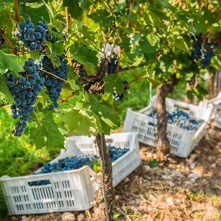 Tenuta La Presa *