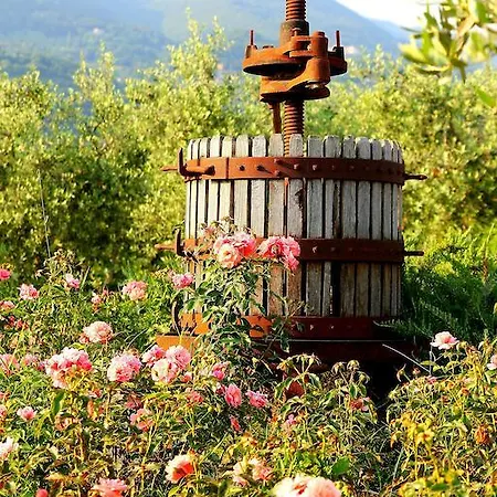Farm stay Tenuta La Presa Caprino Veronese